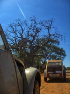 2CV Raid Australia 2008