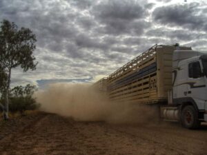 2CV Raid Australia 2008