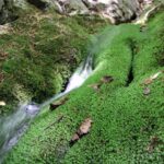 Waters of Paklenica National Park
