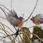 Plitvice Lakes National Park, Croatia