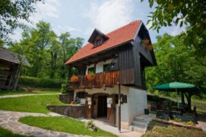 Rural holiday cottage in Croatia - 