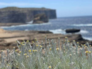 Beautiful Croatian nature